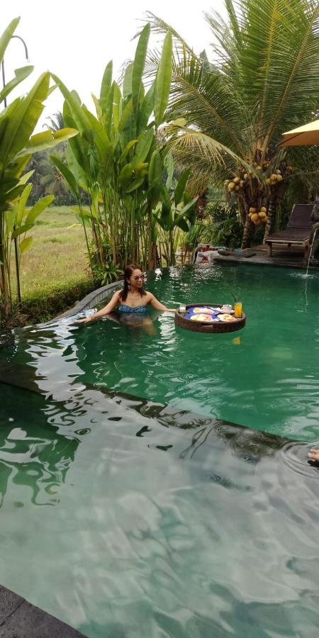 Mancur Guesthouse Ubud Esterno foto