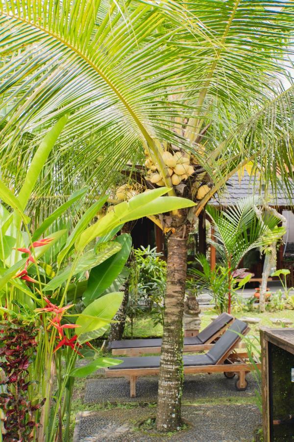 Mancur Guesthouse Ubud Esterno foto