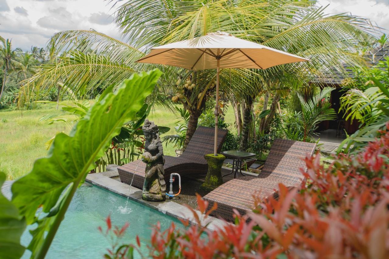 Mancur Guesthouse Ubud Esterno foto