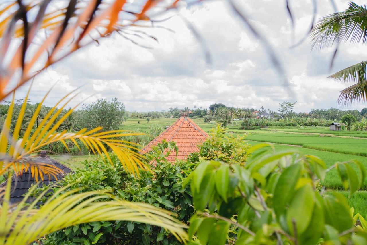 Mancur Guesthouse Ubud Esterno foto