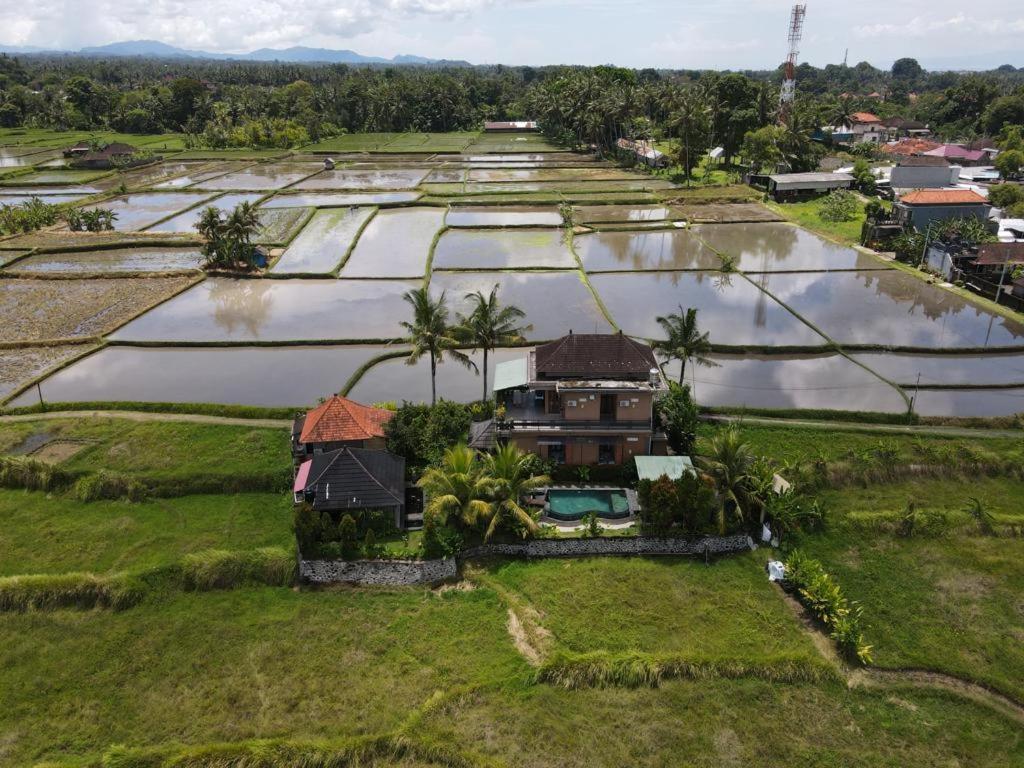 Mancur Guesthouse Ubud Esterno foto